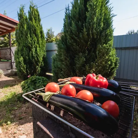 Apartment Margit Sziget