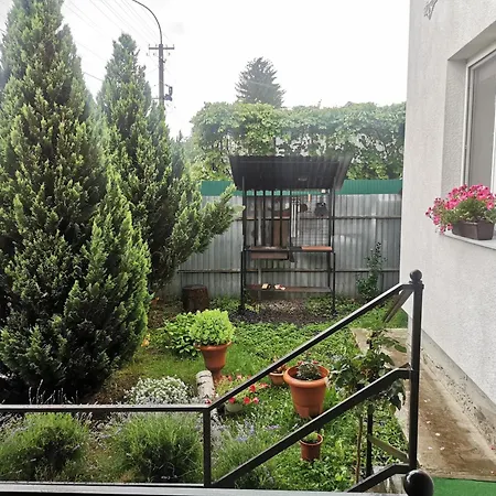 Apartment Margit Sziget Svalyava